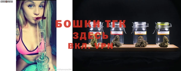 сатива Туринск