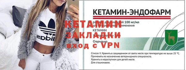 сатива Туринск