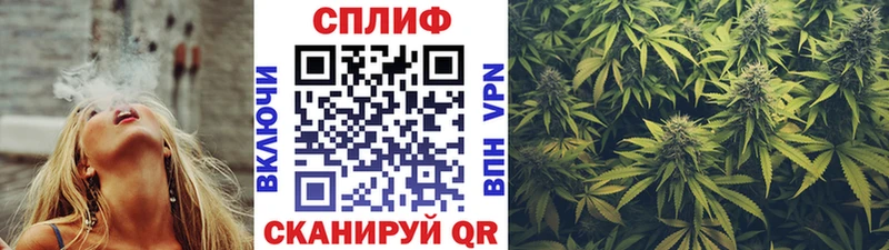 Канабис гибрид  Купить где  Новокубанск 